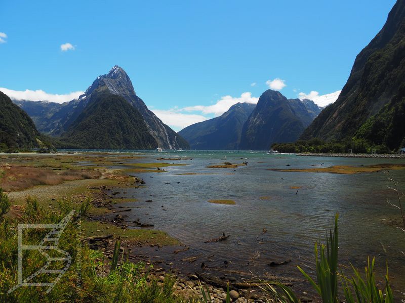 Zatoka Milforda (Milford Sound)