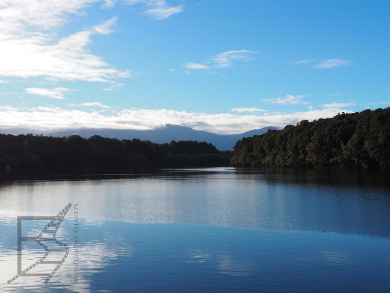 W drodze do Doubtful Sound (jezioro Manapouri)