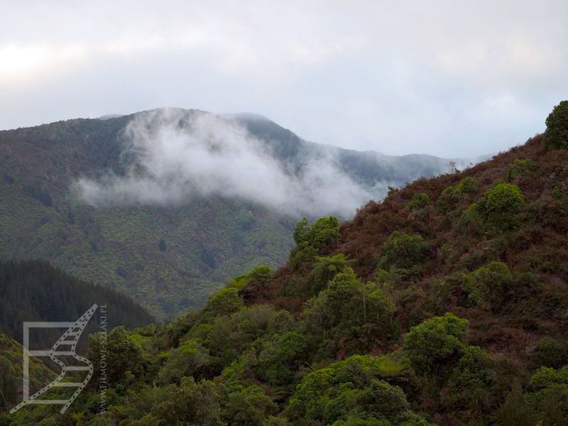 Krajobraz PN Abel Tasman