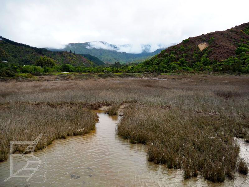 Park Narodowy Abel Tasman