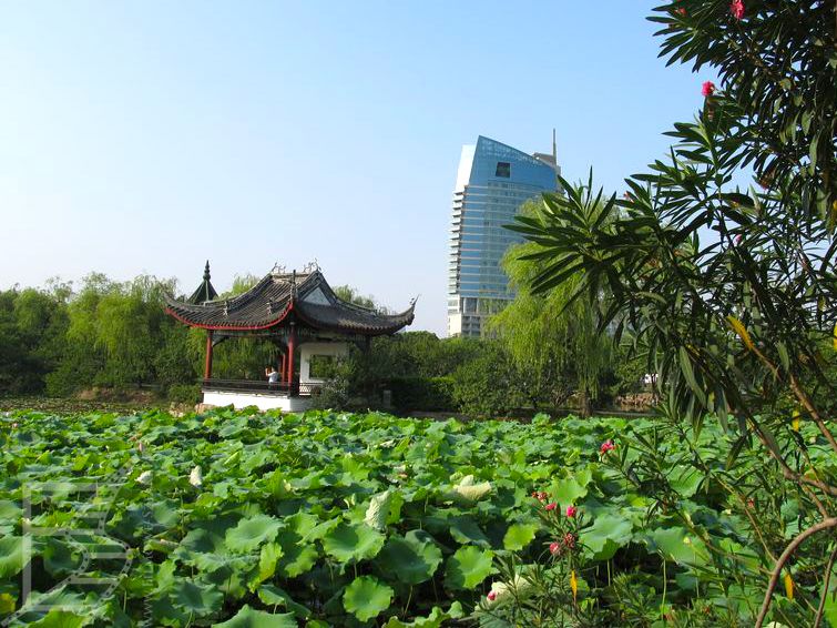 Ogród Li w Wuxi