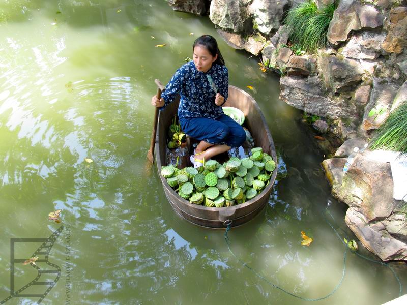 Ogród Pokornego Zarządcy (Suzhou)