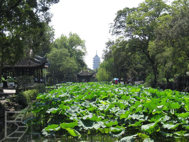 Ogród Dobrego Zarządcy w Suzhou