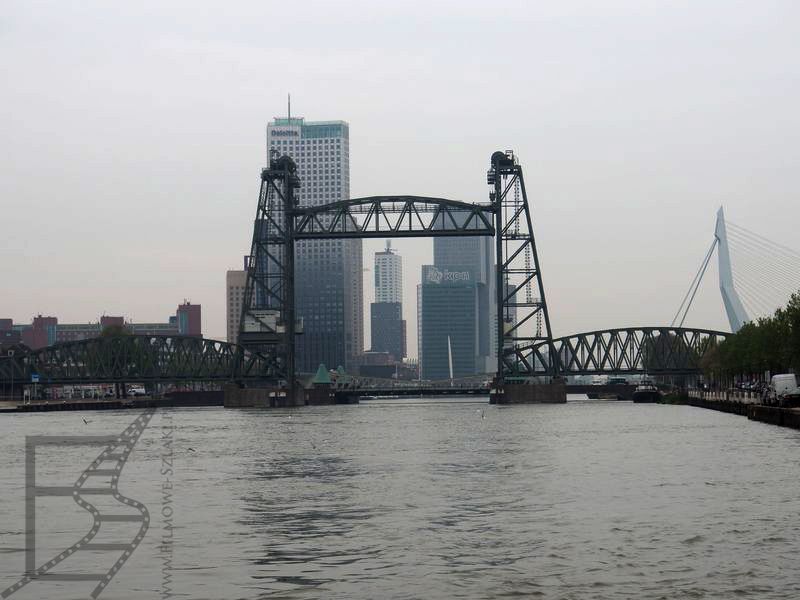 Kanały Rotterdamu