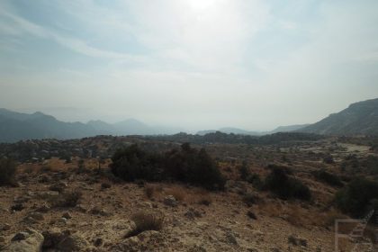 Rezerwat Dana