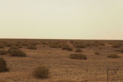 Bezdroża - Jordania