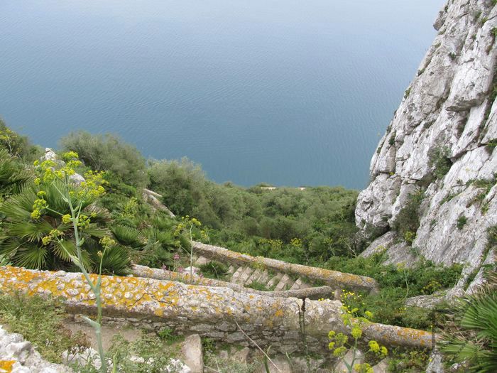 Widok z góry na Mediterranean Steps, Gibraltar