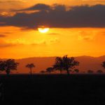 Zachód słońca w Mikumi (Tanzania)