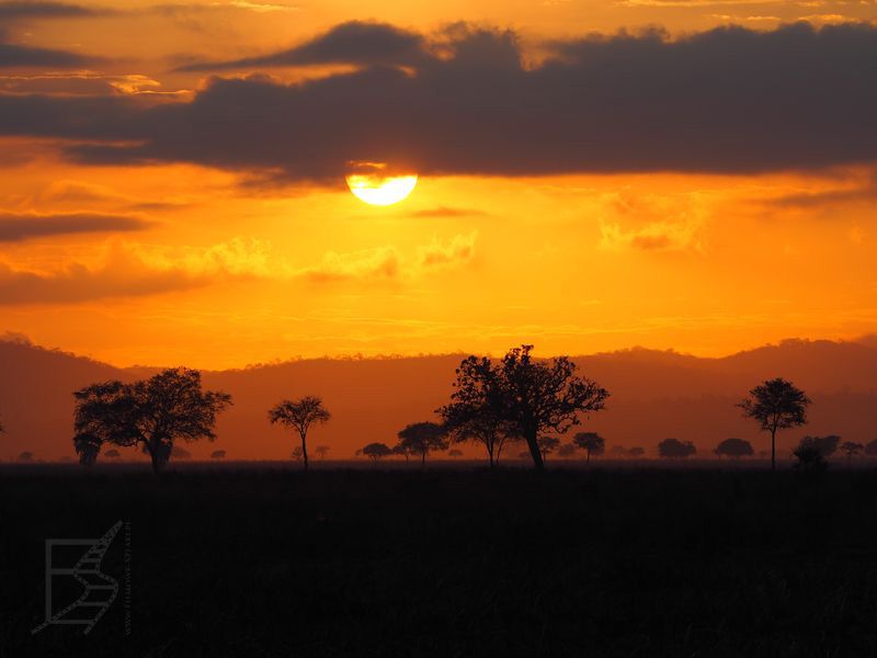 Zachód słońca w Mikumi (Tanzania)