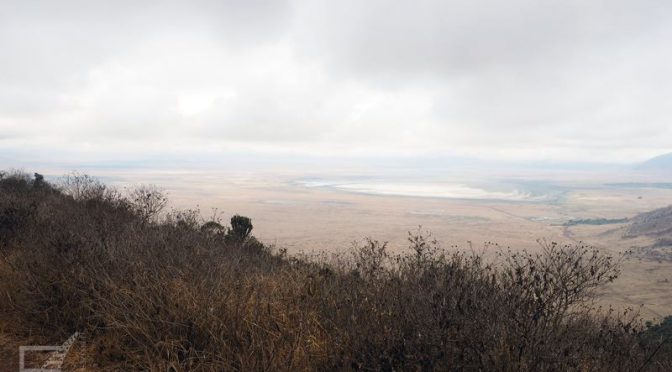 Krater Ngorongoro, Masajowie i afrykańska przyroda
