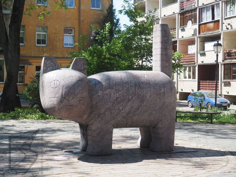Pomnik kota w Wilnie