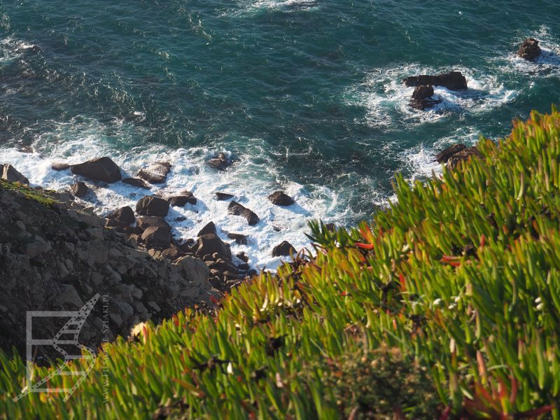 Widok na ocean (przylądek Roca)