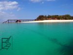 Changuu (Prison Island)