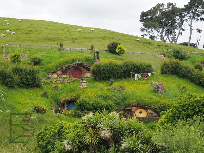 Norki i widok na Hobbiton