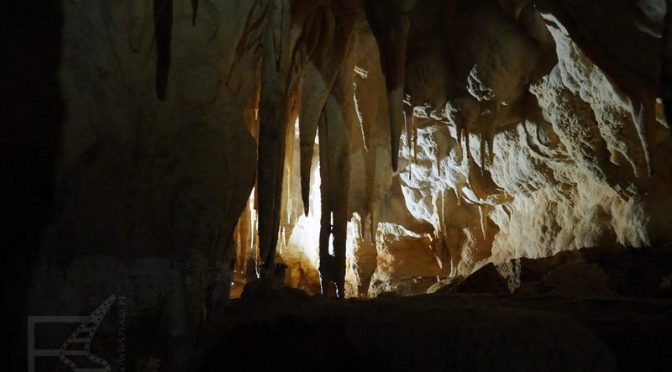 Waitomo Glowworm Cave, jaskinia Ruakuri i świecące robaki