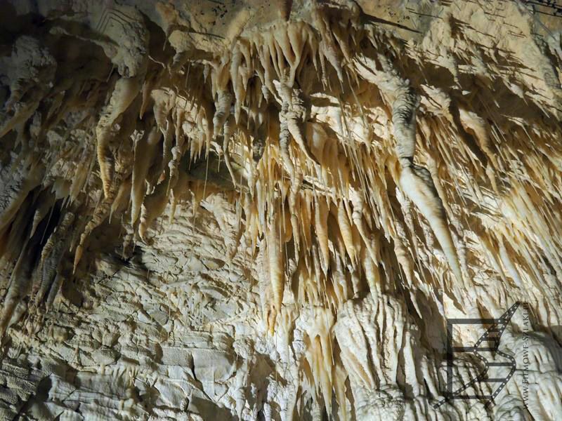 Ruakari w przeciwieństwie do Waitomo jest mniej tłoczne i można bardziej napawać się samą jaskinią