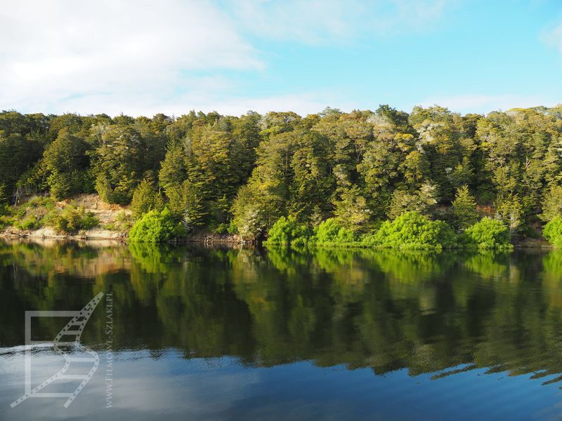 Jezioro Manapouri (Park Narodowy Fiordland)