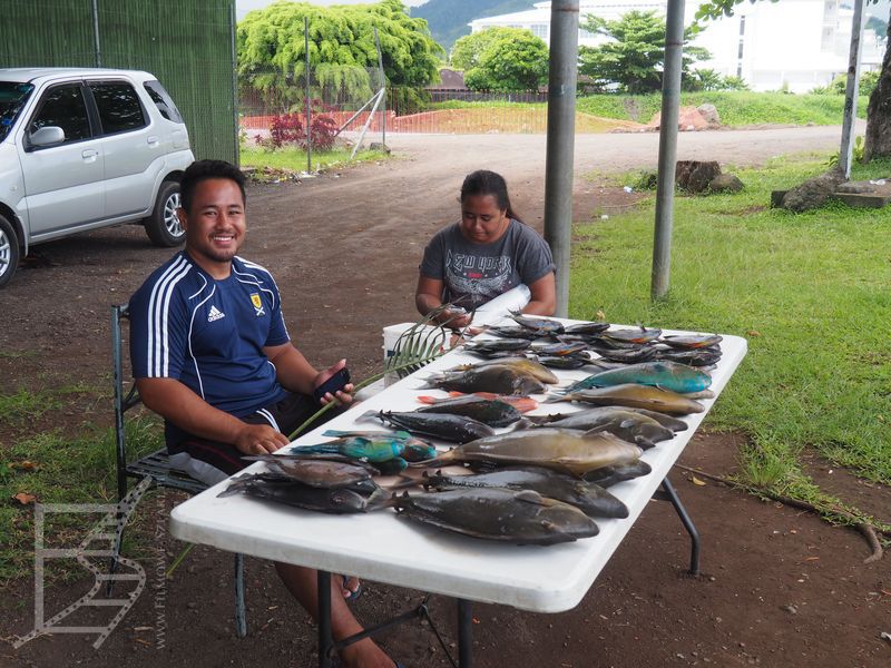 Przydrożna sprzedaż ryb (Apia, Samoa)