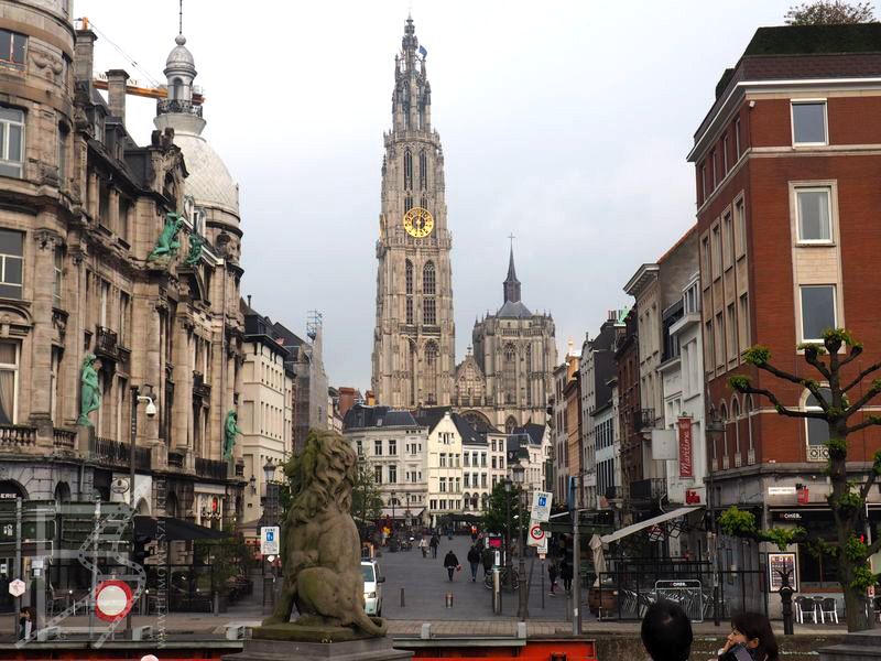 Widok na katedrę Najświętszej Marii Panny (Antwerpia)