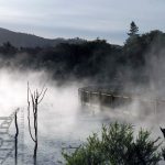 Rotorua: Kuirau Park