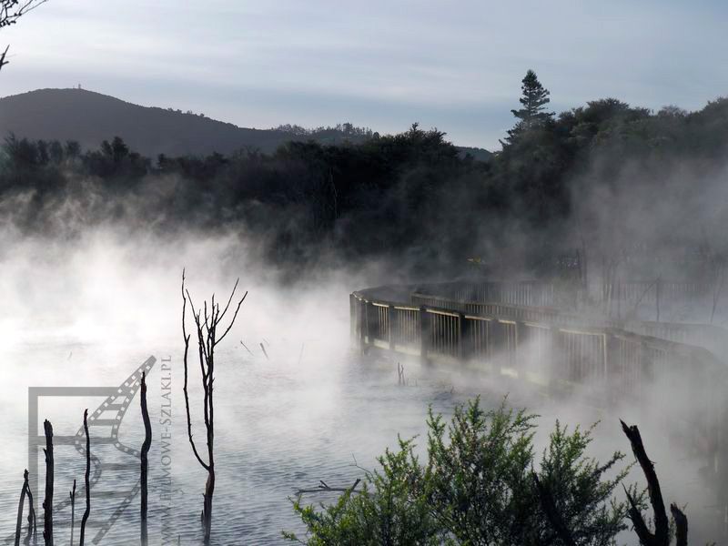 Rotorua: Kuirau Park