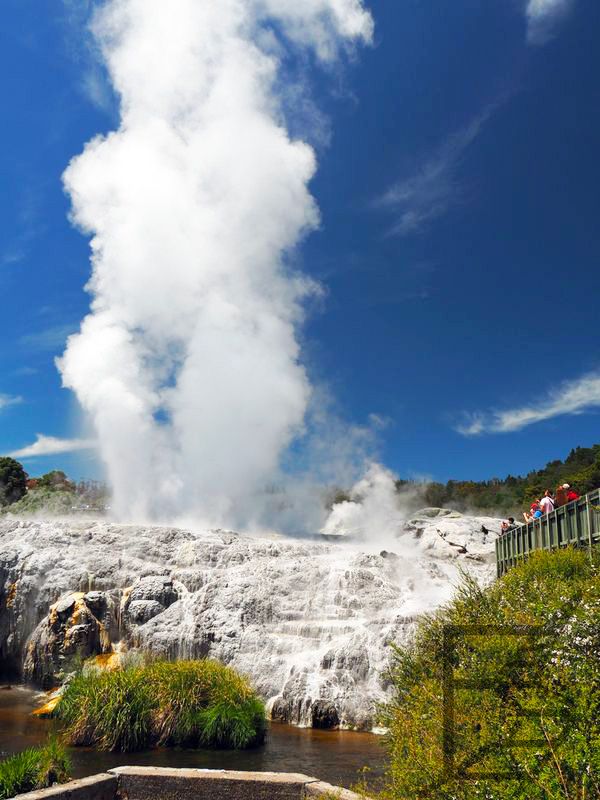 Gejzer Pōhutu (Te Puia, Rotorua)