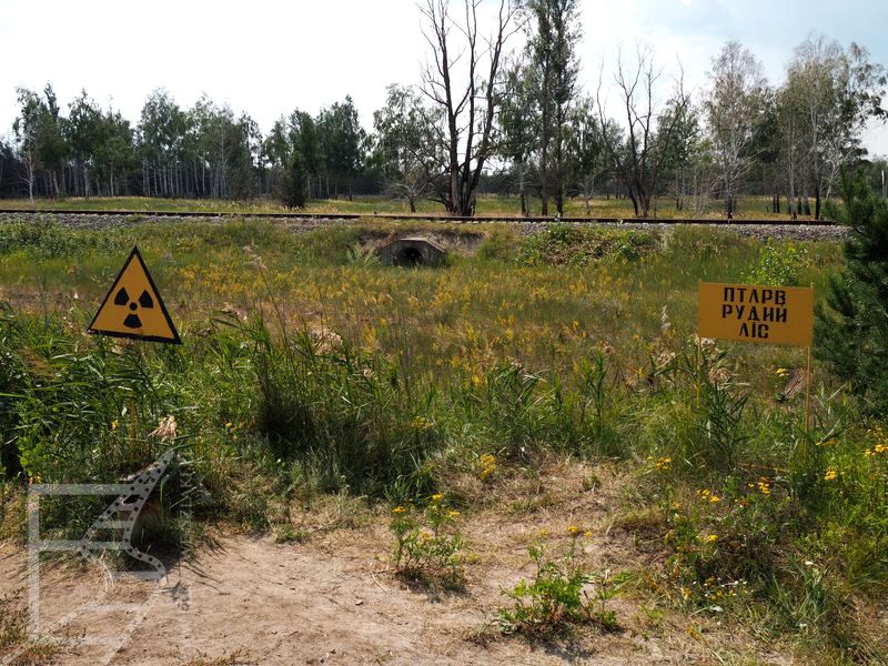 Strefa Wykluczenia wokół Czarnobyla