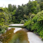 Kaitoke Regional Park