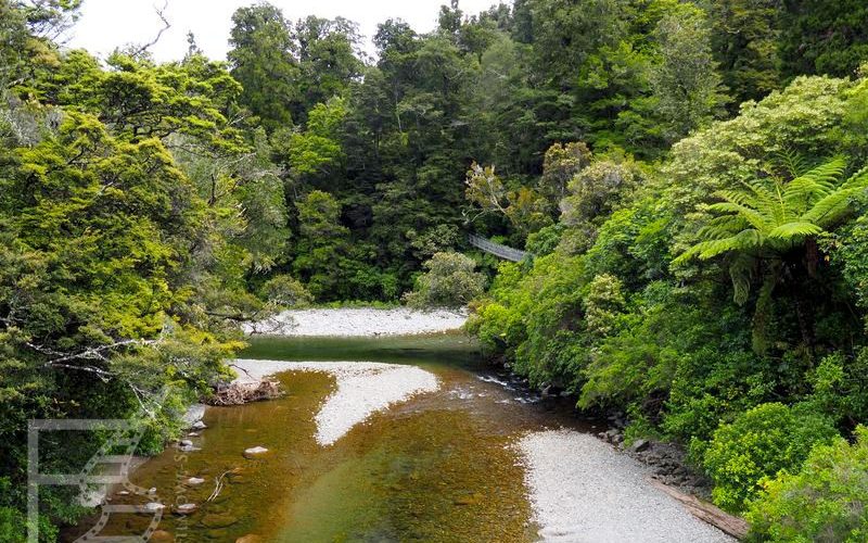 Kaitoke Regional Park
