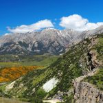 Kura Tawhiti Conservation Area (widok z Flock Hill)