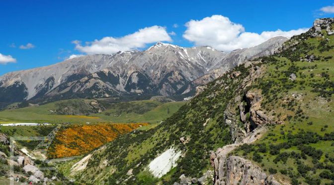 Kura Tawhiti Conservation Area (widok z Flock Hill)