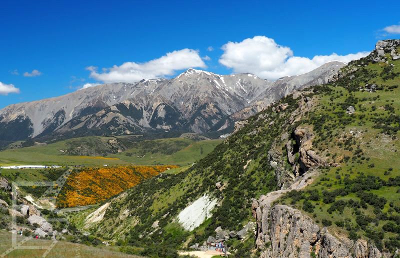 Kura Tawhiti Conservation Area (widok z Flock Hill)