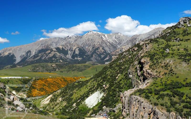 Kura Tawhiti Conservation Area (widok z Flock Hill)