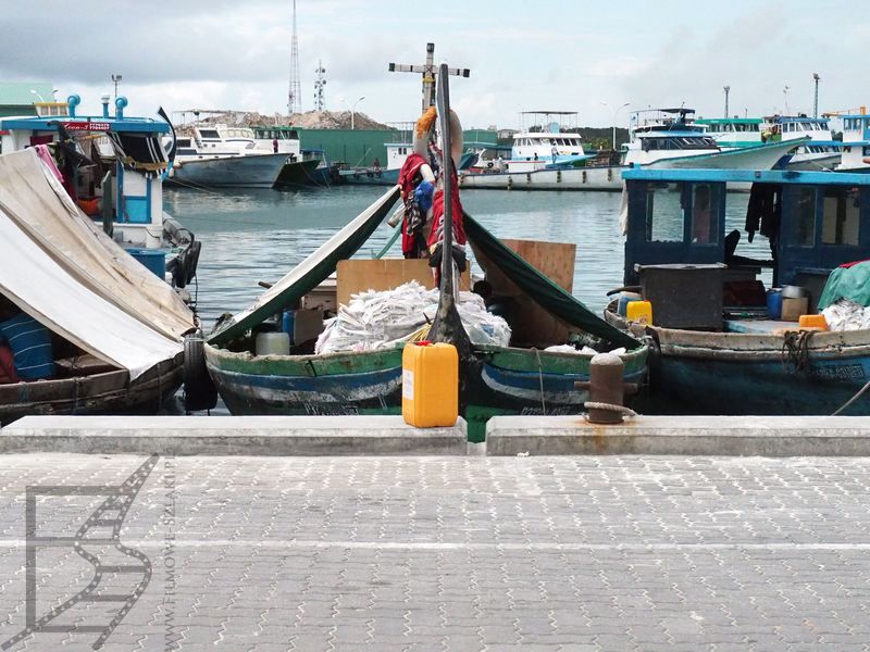Port w Male