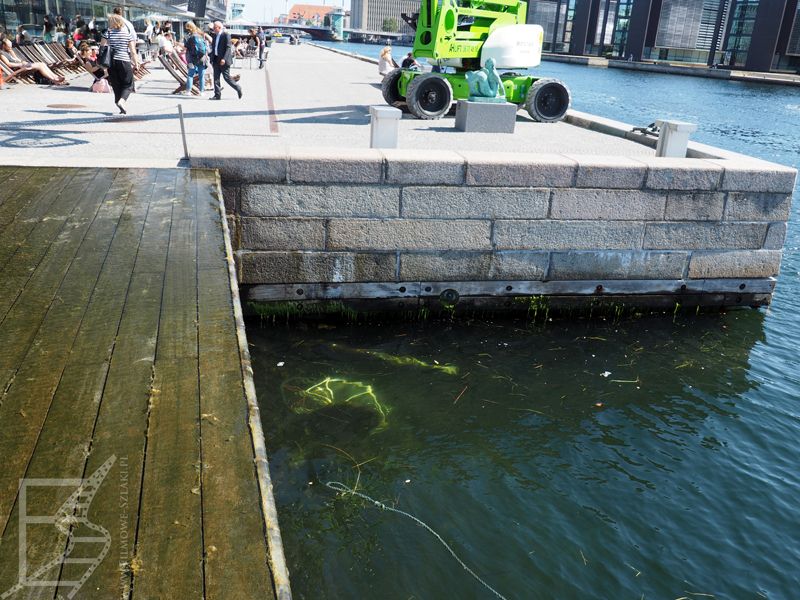 To nie rower wrzucony do kanału. To rzeźba. Kopenhaga może zaskoczyć wodnymi atrakcjami