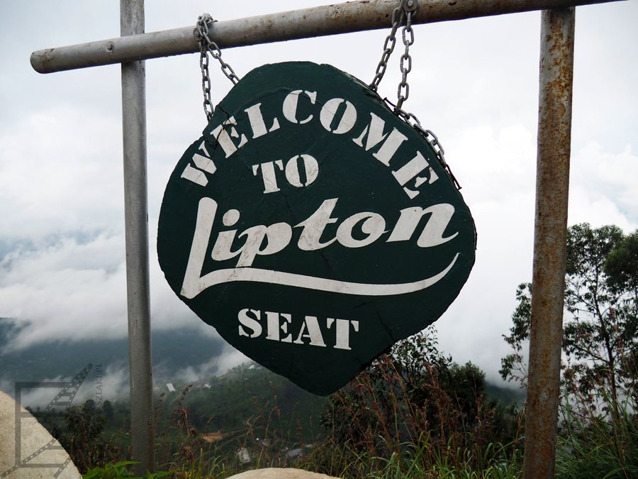 Lipton Seat trudno przeoczyć