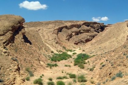 Sidi Bouhlel