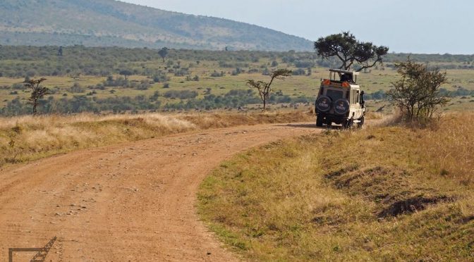 Masai Mara, rezerwat, safari i Wielka Migracja