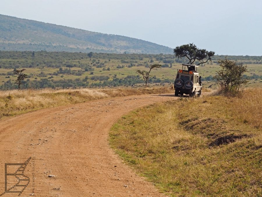 Safari w Masai Mara