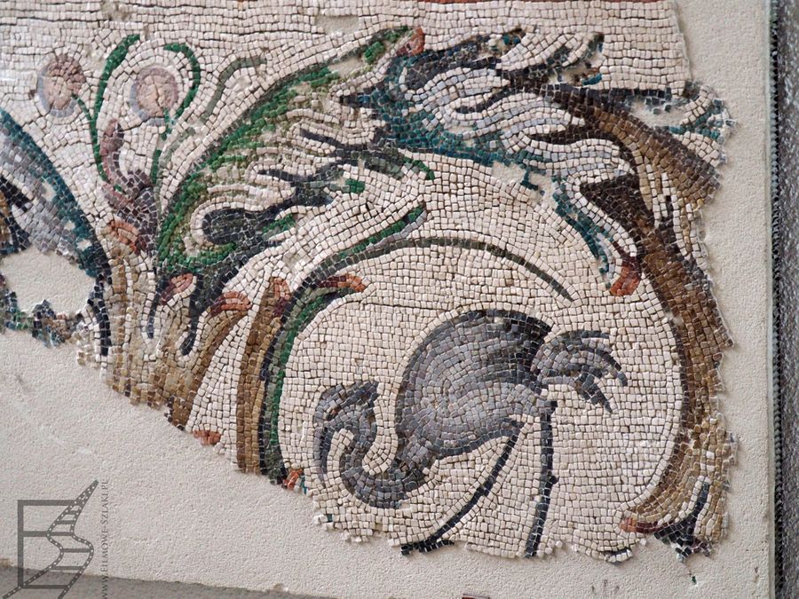 Muzeum Mozaiki w Stambule