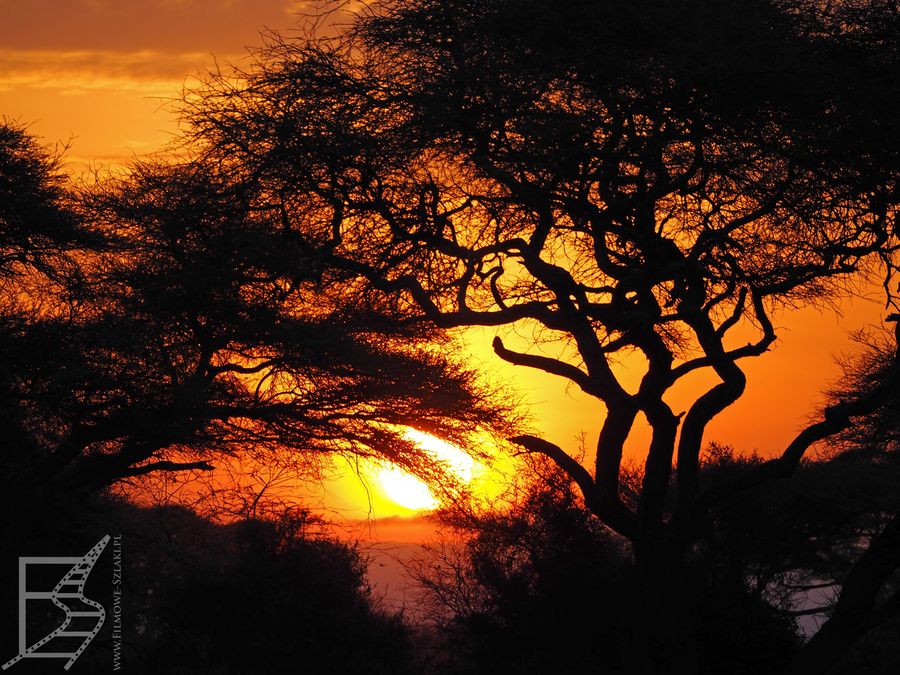 Zachód słońca w Amboseli