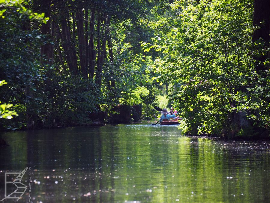 Rezerwat biosfery Spreewald