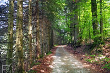 Park Narodowy Risnjak