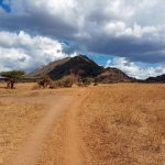 Park Narodowy Tsavo West