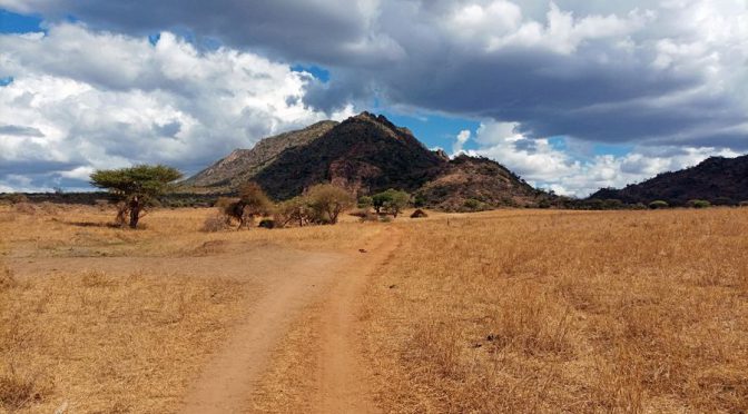 Park Narodowy Tsavo West