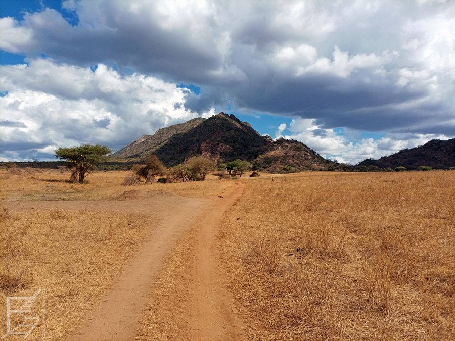 Park Narodowy Tsavo West