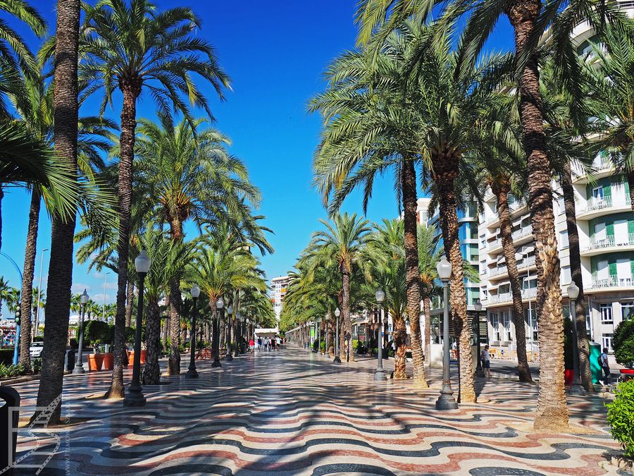 Esplanada d’Espanya to główny deptak Alicante