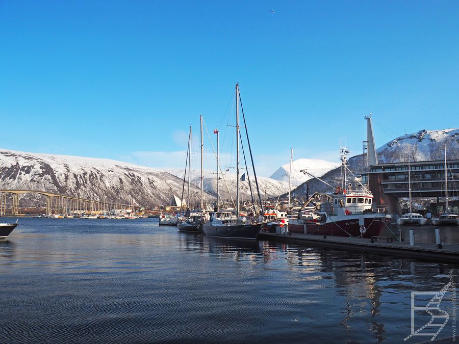 Port w Tromso