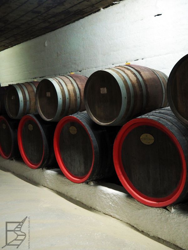 Zwiedzanie Cricovy zaczyna się od oglądania wina leżakującego w beczkach