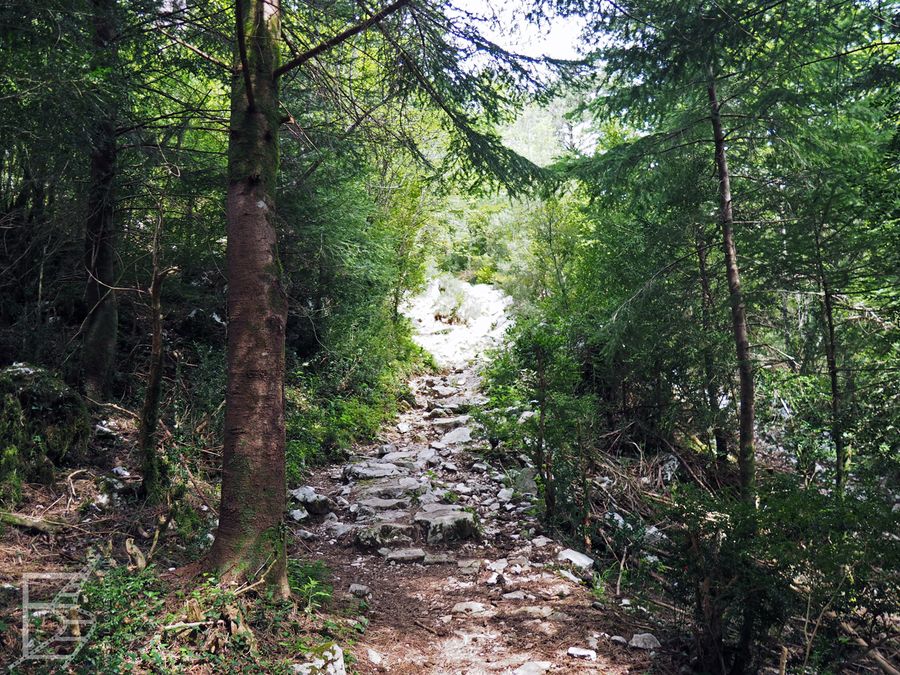Szlak w Parku Narodowym Llogara